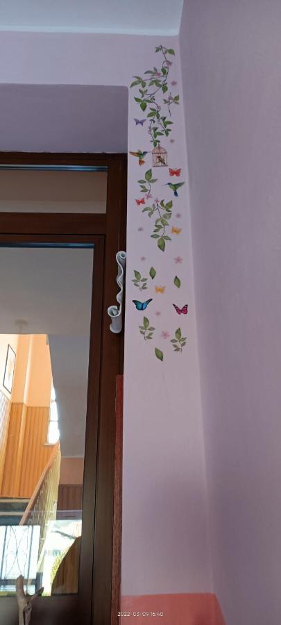 La Magnolia B&B 가시노 토리네세 외부 사진